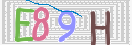 キャプチャ画像