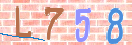 キャプチャ画像